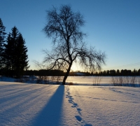 P1040829.JPG